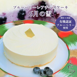 父の日 チーズケーキ ケーキの人気商品 通販 価格比較 価格 Com