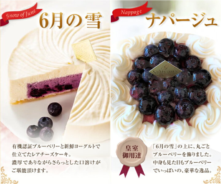 楽天市場 6月の森 ブルーベリーチーズケーキ ナパージュ 栃木県産品 佐野市 自家栽培 有機jas認証 無農薬 濃厚でありながらさっぱりヨーグルト風味 口溶け絶品 高糖度 ブルーベリー ワンホール Fn010 福田屋百貨店エフ ネット プラザ