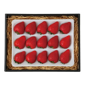 【ポイント10倍】25-04 鈴木いちご園 栃木県宇都宮産 とちあいか F619 | 2025年お歳暮 ギフト