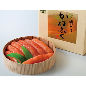 y|Cg10{z47-01 ˂ӂ kCYߊCq FD10 | 2025NΕ Mtg