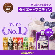 NEWブルーベリーヨーグルト味！【FLIMEAL 公式】フライミールプロテインシェイクスパウトパウチ6種/9種/1…