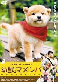 【中古】映画版 幼獣マメシバ [レンタル落ち] [DVD]