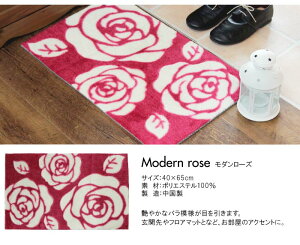 玄関マットインテリアマットアクセントマットフロアマット玄関ベッド机下キッチンマットインテリア柄かわいい