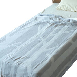 ^I VO { 5d K[[Pbg o[` 150×190cm K[[ 100 􂦂 z V qǂ Ԃ xr[  킢   k ėp I[V[Y Qp oYj