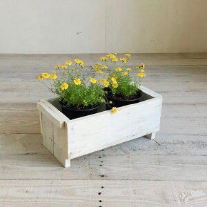 cafemoku TCNEbh v^[{bNX M zCg ԑ ؐ  x_ K[f VRؐ  v^[Jo[ tHAtBI[