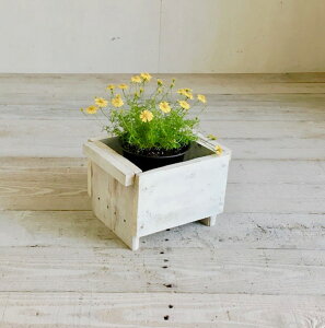 cafemoku TCNEbh v^[{bNX S zCgԑ ؐ  x_ K[f VRؐ  v^[Jo[ tHAtBI[