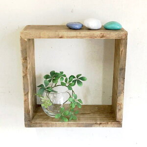 cafemoku TCNEbh Obg{bNX S ؐ{bNX Ǌ|{bNX Ǌ|[ CDbN EH[VFt I Ǌ| C VR tHAtBI[