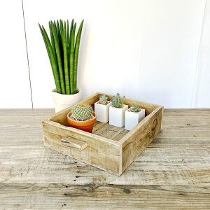 cafemoku TCNEbh Ebh{bNX M ؐ ؐ{bNX ؐBOX [ [{bNX [BOX [P[X Ebh{bNX AeB[N{bNX AeB[NBOX C tHAt