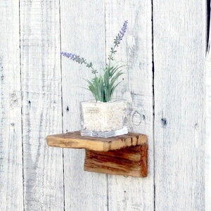 cafemoku TCNEbh EH[VFt S ؐVFt Ǌ|VFt Ǌ|I I Ǌ| C VR tHAtBI[