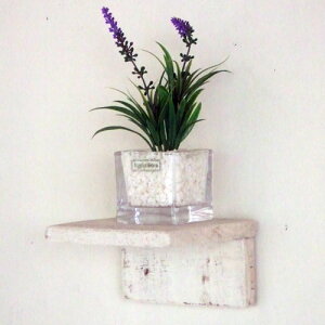 cafemoku TCNEbh EH[VFt S zCg ؐVFt Ǌ|VFt Ǌ|I I Ǌ| C VR tHAtBI[