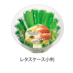 ^X@A~P[X@P[X@ٓP[X@^XP[X@18