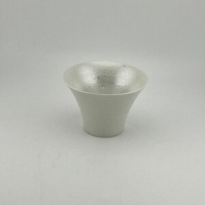 g IREKO ꂱq p[zCg  p g H aH dqWok   