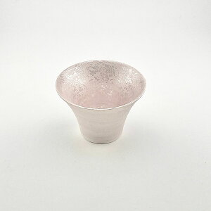 �g������ IREKO ���ꂱ�q ���X�^�[�s���N �~�j ���p�� �d�q�����Wok ������ ���^���b�N ������� ���킢��