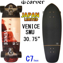 楽天市場】サーフ スケート カーバーの通販