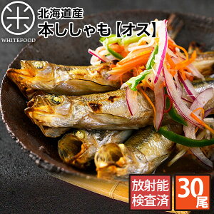 北海道産 ししゃもの人気商品 通販 価格比較 価格 Com