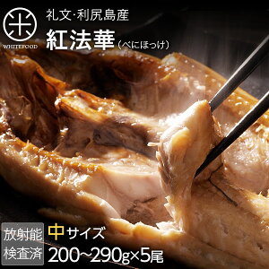 kC 當Y g@(ׂɂق) قJ TCY 200-290gy5wőzӂ_炩z kC yY  Mtgق zbP kCY 