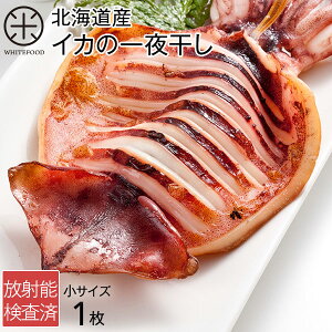 CJ̈銱1 kCY(TCY)uCJv̎|݂n銱H CJ 銱