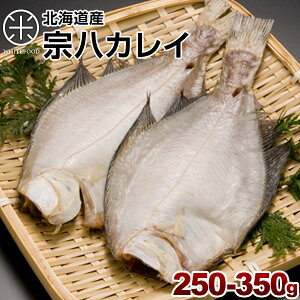 カレイ 北海道産 宗八鰈(そうはちカレイ)250-350g旨さの秘密は自慢の【利尻昆布】昆布干物 北海道 お土産 お取り寄せ 食品 食べ物 魚