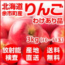 北海道余市産 りんご 3kg（わけあり品）【放射能検査済】【送料無料】 ランキングお取り寄せ