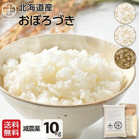 令和7年度産 北海道産 おぼろづき 10kg 無洗米 玄米 白米 (選べる3種類)減農薬米 送料無料 北海道 お米 米 放射能検査済 令和6年