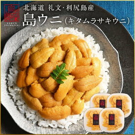 楽天市場 ムラサキウニの通販