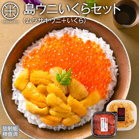 うに いくら 北海道 礼文・利尻島産 生キタムラサキウニ＋北海道 斜里産 昆布だしイクラ セット【送料無料】【放射能検査済】雲丹 塩水パック 塩水ウニ ギフト 贈り物 お取り寄せ ミョウバン不使用 生うに うに ウニ