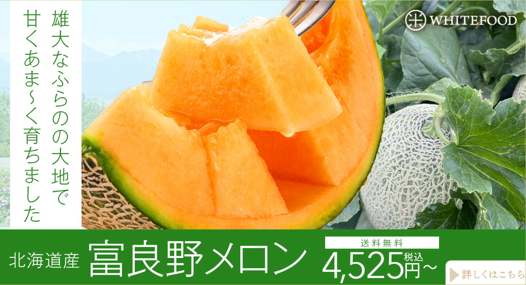 富良野メロン