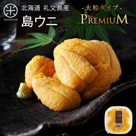 【先行予約】うに 北海道 礼文島産 プレミアム 生キタムラサキウニ 90g(うに丼1杯分)【放射能検査済】雲丹 生うに 塩水パック 塩水ウニ ギフト グルメ 食品 食べもの 海鮮 海鮮丼 寿司 贈り物 お取り寄せグルメ ミョウバン不使用 ご飯のお供