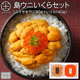 うに いくら 北海道 礼文・利尻島産 生キタムラサキウニ＋北海道 斜里産 昆布だしイクラ セット【送料無料】【放射能検査済】雲丹 塩水パック 塩水ウニ ギフト 贈り物 お取り寄せ ミョウバン不使用 生うに うに ウニ