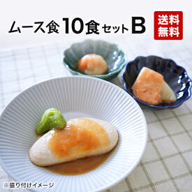 【ムース食】冷凍弁当10食セットB