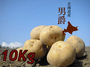 yiꕔn揜jz󂠂kCYႪj݁i10kgjӏ\mFw͔x܂iቺ܂
