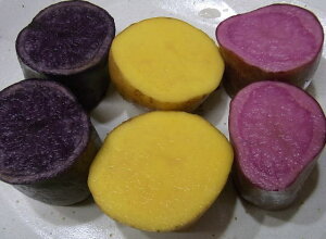 y\񏤕izy(ꕔn揜)z2025NYkCYCĴ߂3FZbgi5kgjqlт̃WKCI