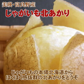 【送料無料(一部地域除く)】2026年産訳あり北海道産北あかり（サイズ等指定なし10kg）※説明書きを十分ご覧の上ご注文ください。