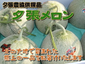 【父の日ギフト】【夕張農協供撰品】夕張メロン（約1．3kg/玉 2個入）※6/14〜16お届け着日指定不可