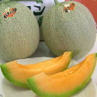 【★着日指定一切不可★】【夕張農協共撰品】夕張メロン（優ランク、約1.6kg大玉×2玉入）【送料無料※た…