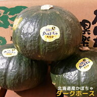 【10月上旬頃発送スタ－ト】【大人気品種】北海道産かぼちゃ「ダークホース」（約10kg）※送料無料（一部…