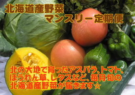 【5回分送料無料】北海道産旬野菜マンスリ−定期便