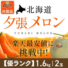 【夕張農協共撰品】夕張メロン（優ランク、約1.6kg大玉×2玉入）【送料無料※ただし追加送料中四国九州500円、沖縄2500円】