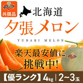 【夕張農協共撰品】夕張メロン（優ランク、約4kg、2〜3玉入）【送料無料※ただし追加送料中四国九州500円、沖縄2500円】