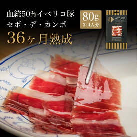 父の日 プレゼント イベリコ豚 生ハム ギフト 切り落とし セボ デ カンポ (80g) 血統50％ 【36ヶ月熟成】ハモン イベリコ スペイン産 最高級 極上 贅沢 プロシュート 原木 職人 手切り スライス 希少 熟成肉 肉 豚肉 ハム 美食 内祝 御祝 手土産 the story