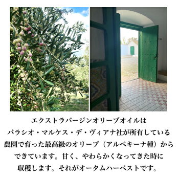 楽天市場 銀賞受賞 アルベキーナ種 オリーブオイル エキストラバージン ギフト 250ml オリーブジャパン銀賞 オーガニック コールドプレス 低温圧搾 スペイン産 美味しい ビオディナミ農法 サステナブル 結婚祝い お歳暮 お中元 The Story The Story 世界の