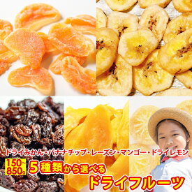 ドライみかん バナナチップス レーズン ドライマンゴー ドライレモン 選べる ドライフルーツ 5種類 ドライ蜜柑 おやつ 食物繊維 ダイエット おつまみ 送料無料