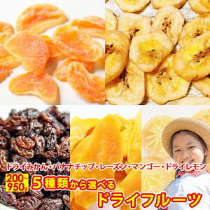 hC݂ oii`bvX [Y hC}S[ hC Iׂ hCt[c 5 hC  H@ _CGbg ܂ Z[ 