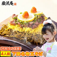 瓦そば かわらそば 瓦蕎麦 かわら蕎麦 送料無料 4人前 下関名物 巌流庵の瓦そば200g 麺プラス100g増量キ…