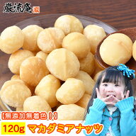 訳あり割れ マカダミアナッツ マカデミアナッツ 送料無料 120g まかだみあなっつ まかでみあなっつ マカ…