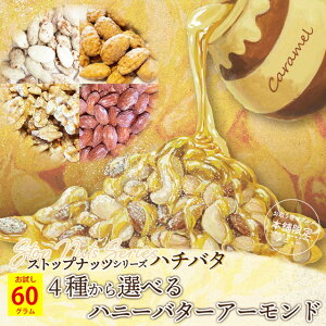 nj[o^[A[h LA[h [v LfBR[gA[h 4ނ Iׂ nj[o^[ibc   500~|bL  _CGbg XC[