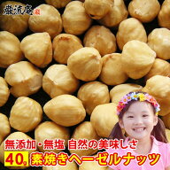 ヘーゼルナッツ 無塩 無添加 素焼き ロースト 送料無料 お試し 40g トルコ産 ナッツ 食物繊維 不飽和脂肪…