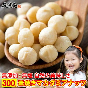 訳あり割れ マカダミアナッツ 無塩 無添加 ロースト 素焼き 送料無料 業務用 300g オーストラリア産 ナッツ 食物繊維 不飽和脂肪酸 ダイエット 大容量 big