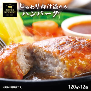 あぐー豚 ハンバーグ セット あぐー豚 沖縄 豚肉 国産 冷凍ハンバーグ 通販 高級 グルメギフト ハンバーグセット 大容量 業務用 ハンバーグ取り寄せ 冷凍食品 高級食品 おいしい ハンバーグ