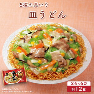 具いり 皿うどん 具付き 具入り 皿 うどん 麺 饂飩 パリパリ麺 揚げ麺 さらうどん フライ麺 乾麺セット 五目 あんかけ 具材入り 食品セット 細麺 長崎名物 簡単調理 美味しいもの お取り寄せ